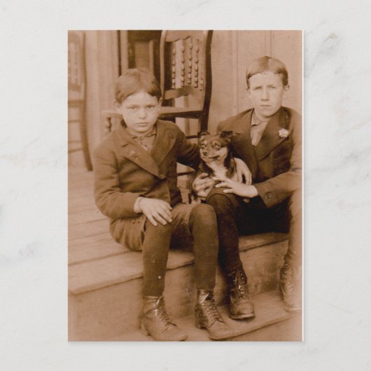 1920, twee jongens, één hond briefkaart (Voorkant)