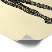  1920 Zenuwstelselanatomie Kunst Afdrukken Poster (Hoek)