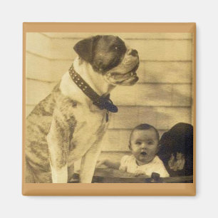1920s pitbull bewaakt baby magneet