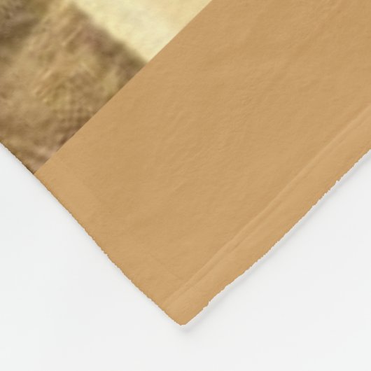 1920s pitbullbewakers baby fleece deken (Hoek)