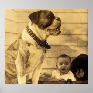 1920s pitbullbewakers baby poster