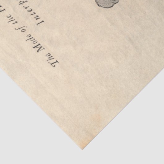 1921 NYC-Mode Ontwerpartikel Tissuepapier (Detail)