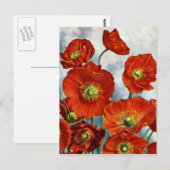 1922 IJsland — Papavers illustratie Briefkaart (Voorkant / Achterkant)