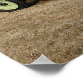 1922 Wills Sainte Claire A68 Rumble Seat Roadster Poster (Hoek)