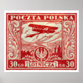 1925 30gr Poolse Airmail Stamp Poster (Voorkant)