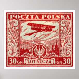 1925 30gr Poolse Airmail Stamp Poster
