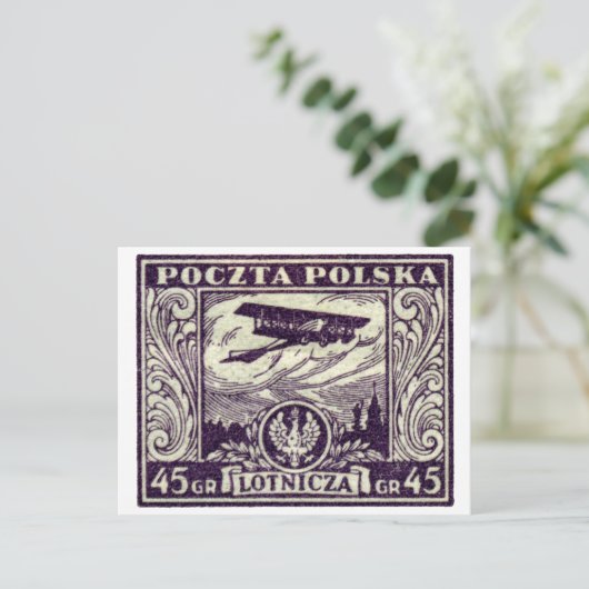 1925 45gr Poolse Airmail Stamp Briefkaart (Staand voorkant)