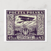 1925 45gr Poolse Airmail Stamp Briefkaart (Voorkant)