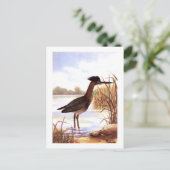 1926  PEUTERVOGELS "GROENE REIGER" ondertekend Briefkaart (Staand voorkant)