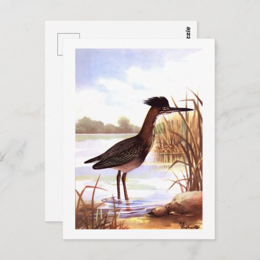 1926  PEUTERVOGELS "GROENE REIGER" ondertekend Briefkaart (Voorkant / Achterkant)