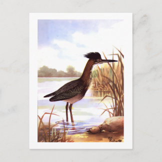 1926 PEUTERVOGELS "GROENE REIGER" ondertekend Briefkaart