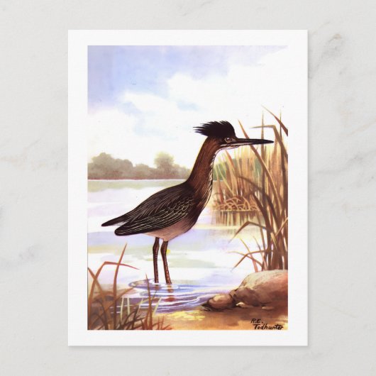 1926  PEUTERVOGELS "GROENE REIGER" ondertekend Briefkaart (Voorkant)