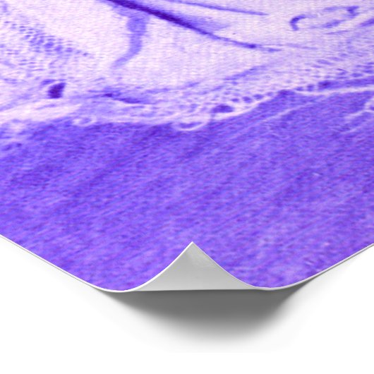 1928 Ziegfeld meisje Poster (Hoek)