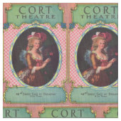 1930 Cort Theatre-afdekplaatje Stof (Close Up)