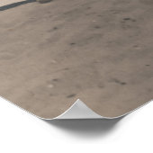 1930 Vlammeisjes op kamelen Egyptische piramides Poster (Hoek)