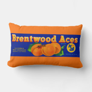 1930s Brentwood Aces abrikozen kratlabel Kussen