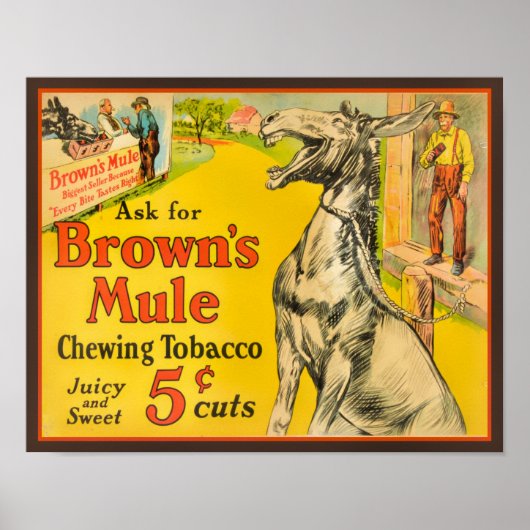 1930's Brown's Mule Chewing Tobacco Poster (Voorkant)