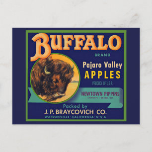 1930s Buffalo Merk Appels kratlabel Briefkaart
