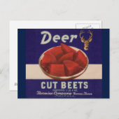 1930s Deer Cut Beets kan label geven Briefkaart (Voorkant / Achterkant)