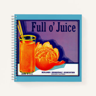 1930s Full o’ Juice sinaasappel krat label Notitieboek