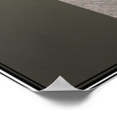 1930's Kalamazoo Mandolin Print (Hoek)