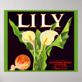 1930s Lily sinaasappel krat label Poster (Voorkant)