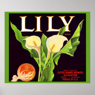 1930s Lily sinaasappel krat label Poster