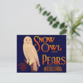 1930s Sneeuwboomperen Etiket op peervruchten Briefkaart (Staand voorkant)