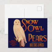 1930s Sneeuwboomperen Etiket op peervruchten Briefkaart (Voorkant / Achterkant)