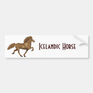 1930's Vintage IJslands Bumpersticker