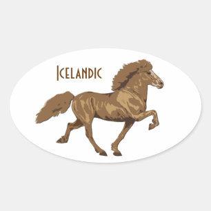 1930's Vintage IJslands Ovale Sticker
