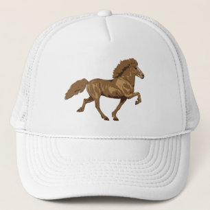 1930's Vintage IJslands Trucker Pet