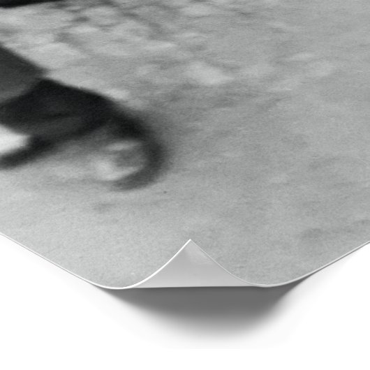 1933 HEBBEN WE BEER! - VERBODSEINDEN POSTER (Hoek)