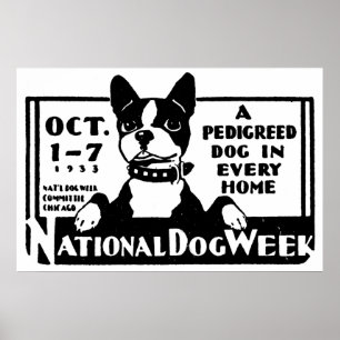 1933 Nationaal Poster van de Dog Week