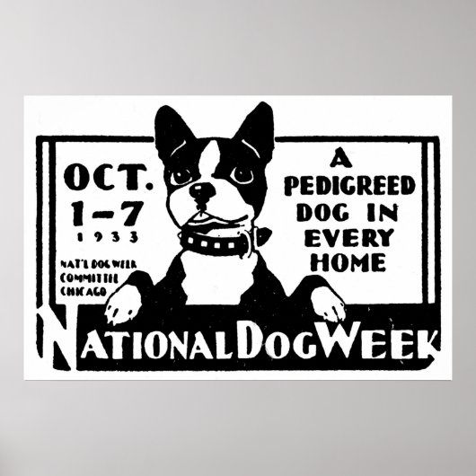 1933 Nationaal Poster van de Dog Week (Voorkant)