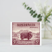 1934 Australian Merino Sheep Briefkaart (Staand voorkant)