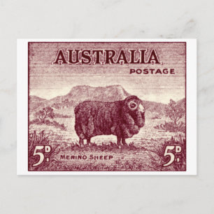 1934 Australian Merino Sheep Briefkaart