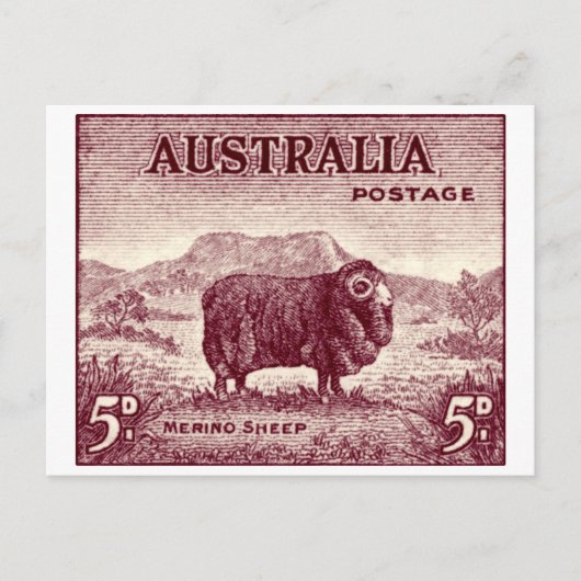 1934 Australian Merino Sheep Briefkaart (Voorkant)