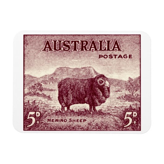 1934 Australian Merino Sheep Magneet (Horizontaal)