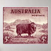 1934 Australian Merino Sheep Poster (Voorkant)