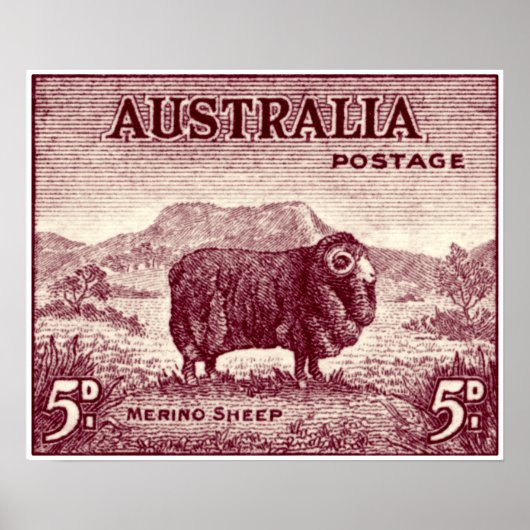 1934 Australian Merino Sheep Poster (Voorkant)