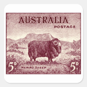 1934 Australian Merino Sheep Vierkante Sticker