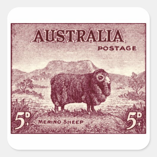 1934 Australian Merino Sheep Vierkante Sticker (Voorkant)
