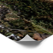 1934, Chevrolet Roadster klassieke auto Poster (Hoek)