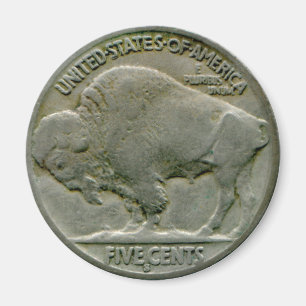 1936 US "Buffalo" nikkel staart magneet