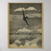 1938 Airplane Art Print van het luchtvaartmagazine