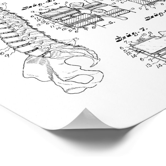 1938  Spine Model Patent Art Print (Hoek)
