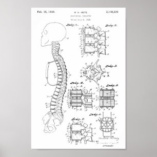 1938  Spine Model Patent Art Print