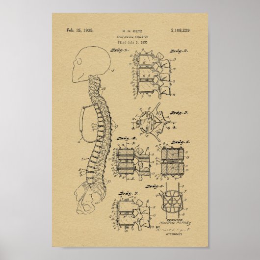 1938 Spine Model Patent Art Print (Voorkant)