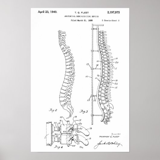 1940  kunst met anatomische ruggengraat poster (Voorkant)